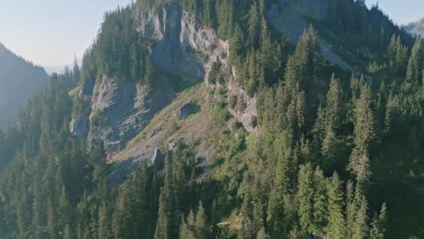 Nagrania Powietrza Lecące Blisko Szczytu Góry Pokazujące Drzewa Skale Porannej — Wideo stockowe