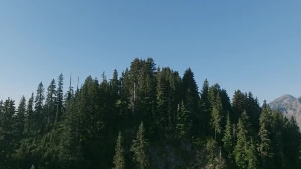 在华盛顿的喀斯喀特山脉 空中的镜头掠过一座山顶 揭示了晨雾中树木间的一片草地 — 图库视频影像