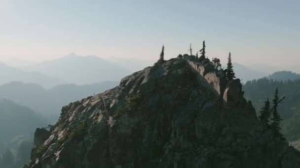 나무와 둥근돌로 산봉우리 꼭대기를 선회하는 — 비디오