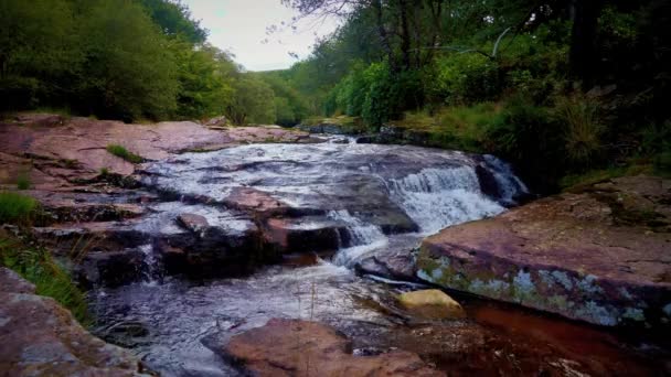Cascada Natural Río Avon Parque Nacional Dartmoor Camino Presa Avon — Vídeos de Stock