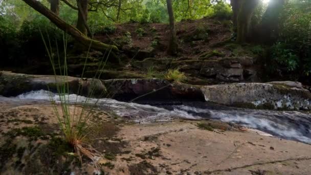 Fast Flowing Water Running Left Right Rock Edge Dartmoor National — Αρχείο Βίντεο