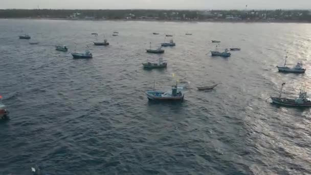 Fotos Aéreas Drones Barcos Pesca Sri Lanka Anclados — Vídeo de stock