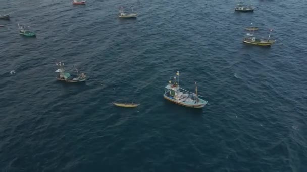 Aerial Drone Shot Anchored Fishing Boats Out Sea — Stock Video