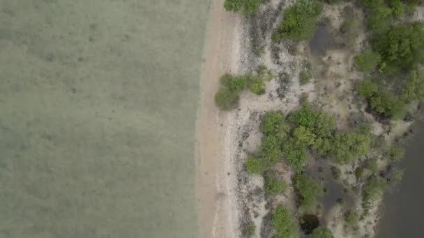 Letecký Letoun Shora Dolů Shot Coral Island Srí Lance — Stock video