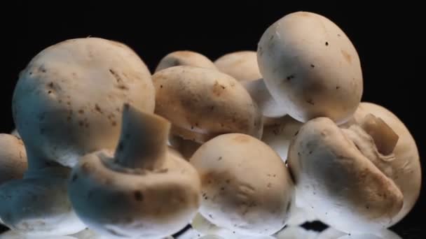 Cogumelos Comuns Aka Champignons Close Legumes Orgânicos Placa Fiação — Vídeo de Stock