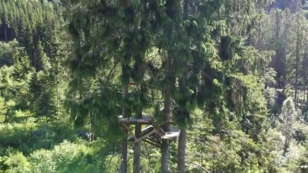 ヴォスジップラインとクライミングパーク内の松の木のプラットフォーム 上向きのプラットフォームから木の上に空中に移動 — ストック動画