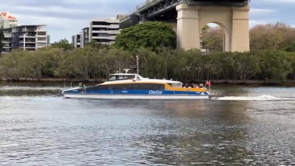 人気の川クルーズ 無料公共交通機関 静かな午後にブリスベン川を渡るシティキャットフェリーボート クイーンズランド州 オーストラリア 静的ショット — ストック動画