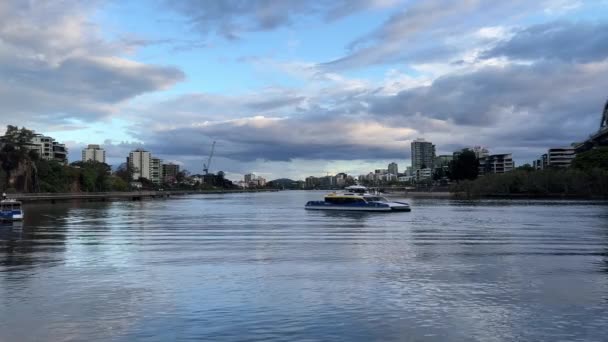 Transporte Catamarãs Citycat Translink Ferry Navegando Através Rio Brisbane Com — Vídeo de Stock