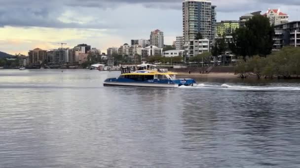 在澳大利亚昆士兰州南部郊区袋鼠站 城市猫号转船驶过布里斯班河 静态拍摄到了河边住宅建筑和船坞 — 图库视频影像