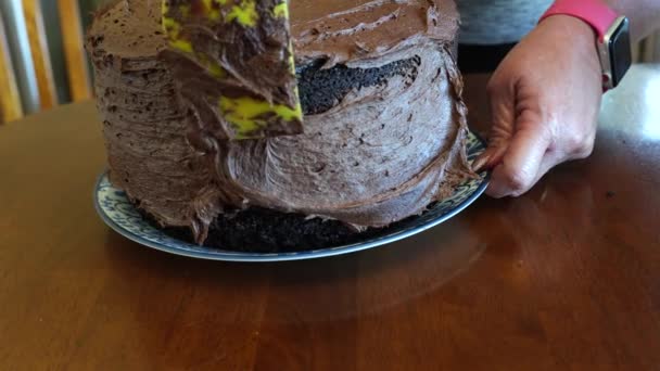 Espalhando Cobertura Chocolate Bolo Camada Tripla Chocolate Cake Séries — Vídeo de Stock