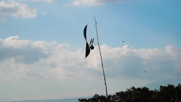 稻田里的驱虫器 手工做的风车旋转 发出声音 鸟类和啮齿动物更可怕 — 图库视频影像