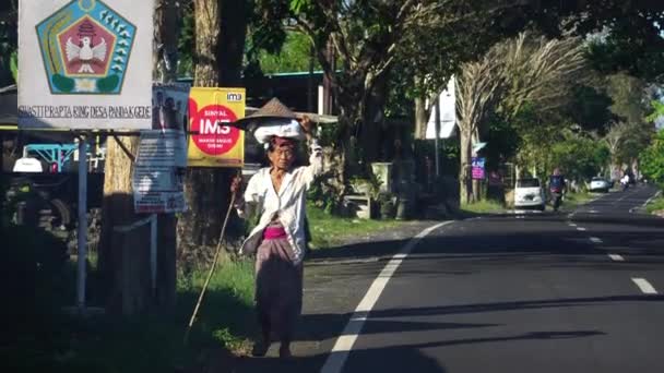 老东南亚农妇头上衔着新鲜谷粒 走在路边 — 图库视频影像