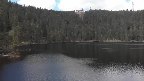 Udara Mummelsee Lake Ditembak Menunjukkan Hutan Lebat Dan Jatuh Pohon — Stok Video