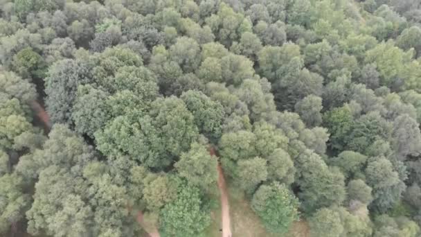 空中でのパンニングは スペイン バスク地方のウルキオラ自然公園を明らかに撮影 — ストック動画