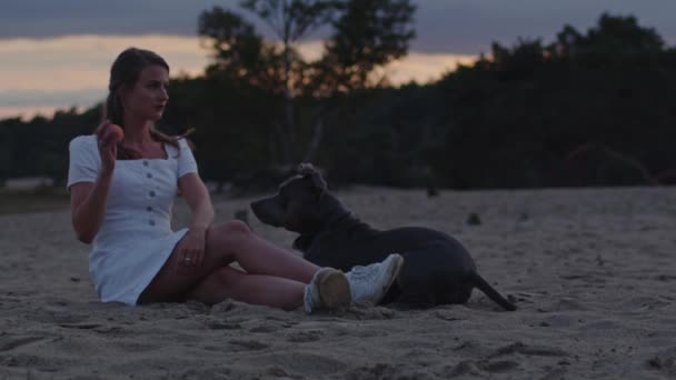 Jovem Mulher Jogando Buscar Com Americano Staffordshire Terrier Dunas Areia — Vídeo de Stock
