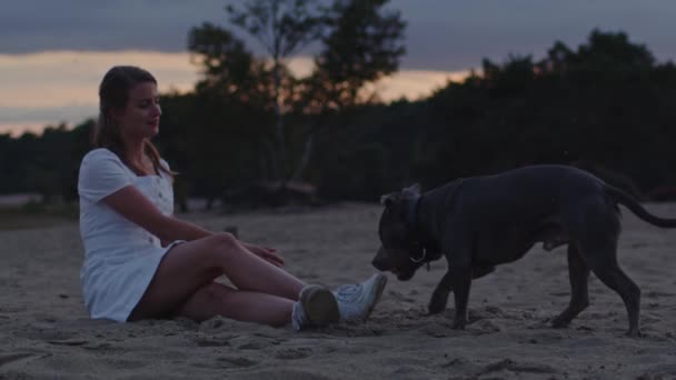 Американский Стаффордширский Терьер Приносит Мяч Привлекательной Женщине Сидящей Песчаных Дюнах — стоковое видео