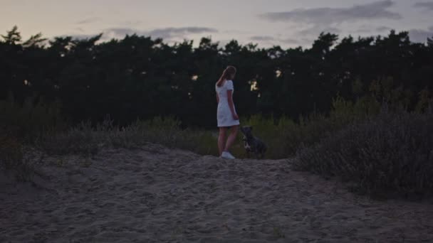 黄昏时分 年轻女子在沙丘上向山上的狗走去 视野开阔 — 图库视频影像