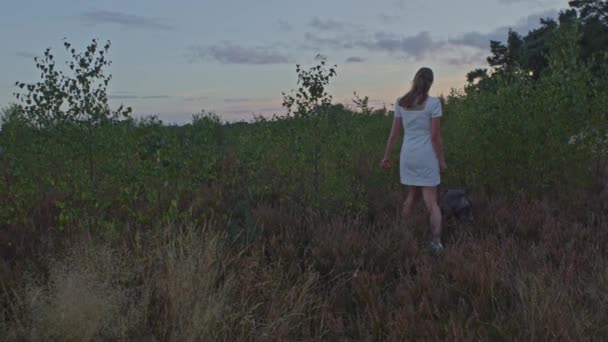 关于年轻貌美的女子踏入石南田园的广阔视野 — 图库视频影像