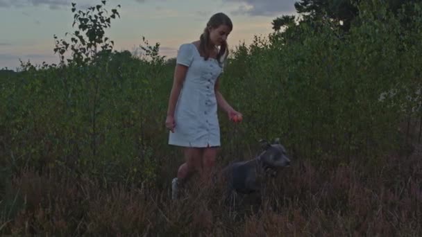 中看迷人的年轻女子带着她的狗在沙丘的草丛中散步 — 图库视频影像
