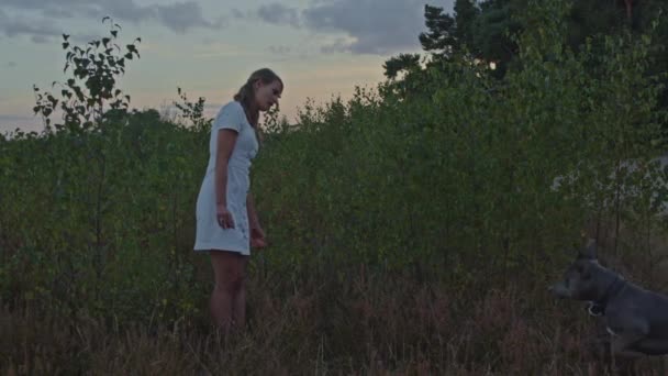 迷人的年轻女子站在一片苍翠的田野里叫她的狗 — 图库视频影像