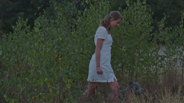 Aantrekkelijke Jonge Vrouw Wandelen Met Haar Hond Uit Heideveld Zandduinen — Stockvideo