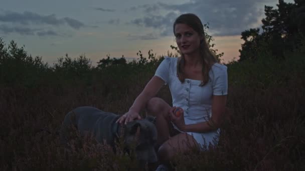 Junge Frau Streichelt Ihren Hund Einem Heidefeld — Stockvideo