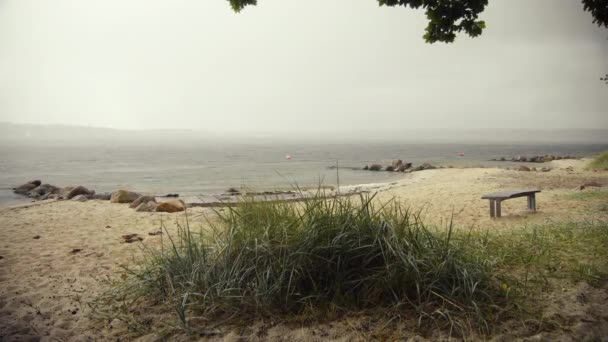 在阴沉沉的日子里 在空旷的海滩上 沙丘上的青草和木制的河岸在前面 — 图库视频影像