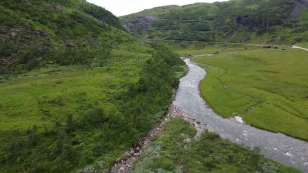 Idylliczna Rzeka Myrkdalen Vikafjell Norwegia Krętymi Sznurami Halsabakkane Wyrzeźbionymi Tle — Wideo stockowe