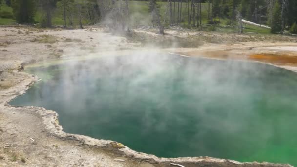 Steam Rises Vibrant Green Geyser Yellowstone National Park — Stock Video