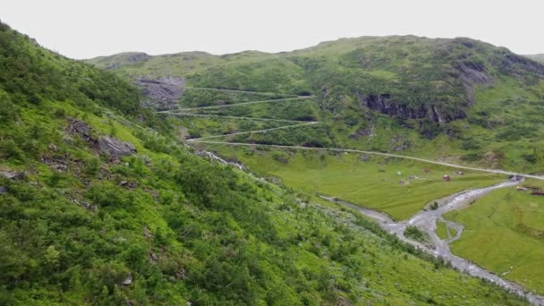 壮大な曲がりくねった道が丘の中腹に刻まれ ノルウェーのVikafjell山の交差点につながる Halsabakkaneヘアピンターン 遠くの丘の中腹からの空中接近曲道 — ストック動画