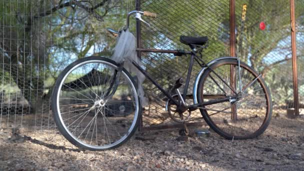 소노라 사막의 암탉우리 근처에 자전거의 정적인 — 비디오