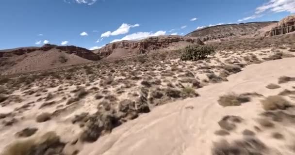 加利福尼亚红岩峡谷州立公园里 乔舒亚的树沿着沙漠的地面飞向陡峭的悬崖 — 图库视频影像