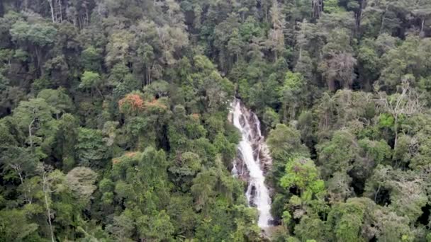 ブリンチャン市のジャングルの中で見事な滝のスローモーションのパンニングショット — ストック動画