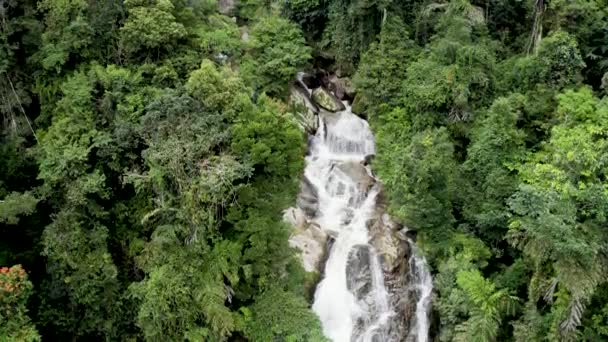 Powolny Ruch Górę Ujęcia Oszałamiającego Wodospadu Płynącego Lesie Deszczowym Brinchang — Wideo stockowe