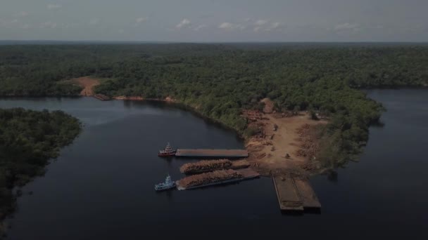 Wylesianie Amazońskiego Lasu Deszczowego Wzdłuż Rzeki Tocantins Widok Lotu Ptaka — Wideo stockowe