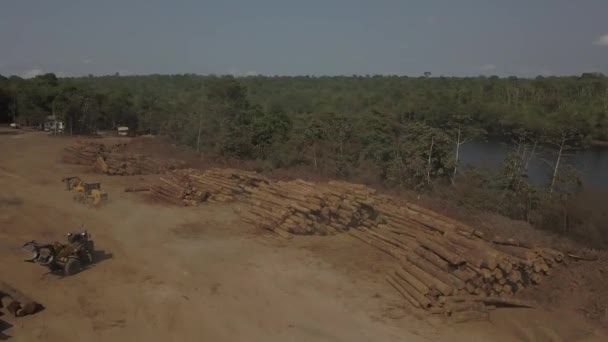 Stapels Boomstammen Gekapt Het Amazone Regenwoud Vanuit Lucht Bekeken — Stockvideo