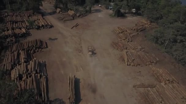 Riesiger Holzeinschlag Brasilianischen Amazonas Regenwald Überführung Aus Der Luft — Stockvideo