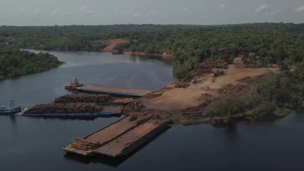Величезні Лісозаготівельні Операції Бразилії Сприяють Вирубанню Лісів Зміні Клімату Вологих — стокове відео