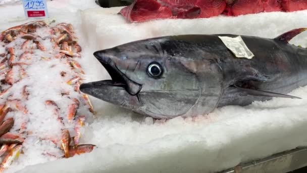 Pesce Tonno Grande Sul Ghiaccio Mercato Frutti Mare Estepona Spagna — Video Stock