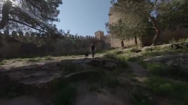 Fpv Aerial Man Belgian Shepherd Dog Explore Medieval Castle Ruins — Stock Video