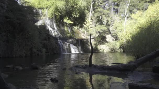 环绕着森林的美丽的河流风景 远处是瀑布 和平小河上的岩心和岩石 背景为遮阳树 — 图库视频影像