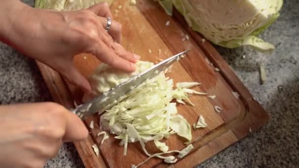 台所で切り刻まれているキャベツのオーバーヘッドビュー 高角度 — ストック動画
