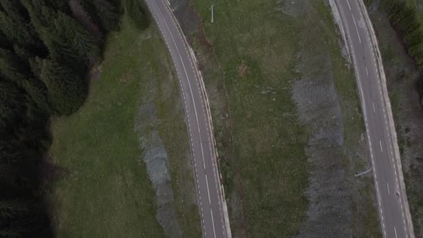 Snake Road Împușcat Munții Români — Videoclip de stoc