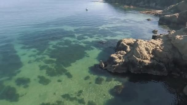 Drone Aéreo Movendo Para Baixo Direção Barco Água Azul Clara — Vídeo de Stock