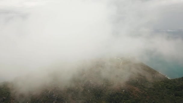 热带森林岛上云层中的无人机 — 图库视频影像
