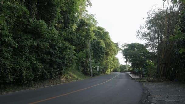Asphalt Road Nature Rain Forest Jungle Mountain Sunshine Early Morning — Video Stock