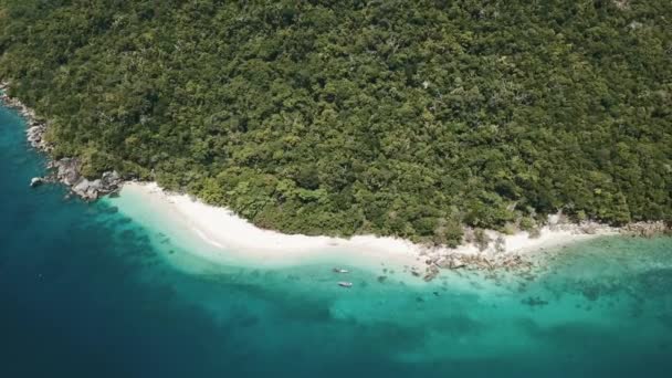 热带海滩的无人机 蓝水清澈 岛上有树和森林 — 图库视频影像