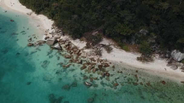 Drone Antenne Boven Tropisch Helder Blauw Water Fitzroy Island Met — Stockvideo