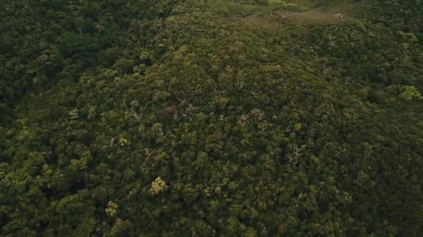 Drone Antenne Boven Tropisch Bos Eiland Panning Omhoog Terwijl Een — Stockvideo