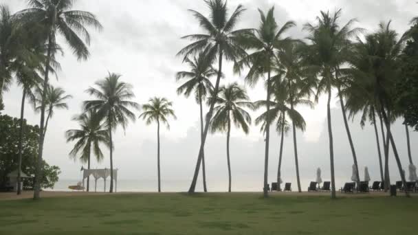 Πολυτελή Ξαπλώστρες Ομπρέλα Στο Καταπράσινο Γκαζόν Κοντά Στην Παραλία Παραλία — Αρχείο Βίντεο